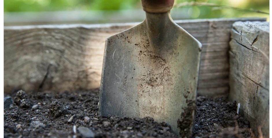 Dicas Para Conservar o Solo do Seu Jardim